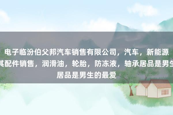 电子临汾伯父邦汽车销售有限公司，汽车，新能源汽车及其配件销售，润滑油，轮胎，防冻液，轴承居品是男生的最爱